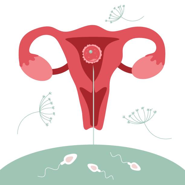 Best ICSI Specialist in Malad